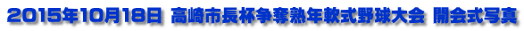 2015N1018 stDnN싅 Jʐ^
